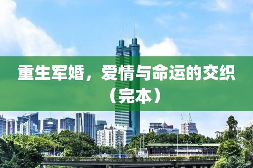 重生军婚，爱情与命运的交织（完本）