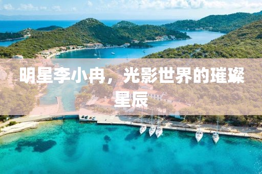 明星李小冉，光影世界的璀璨星辰