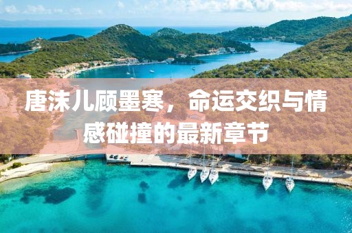 2024年12月 第234页