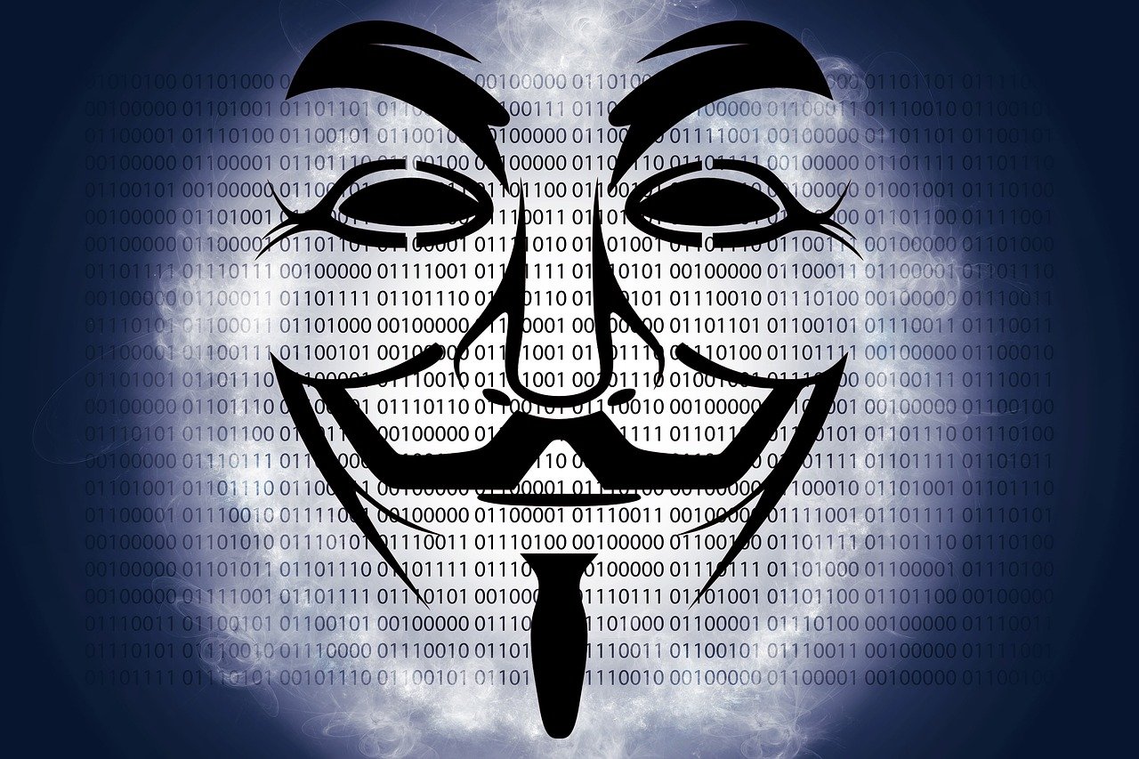 文交所最新动态深度解析与探讨