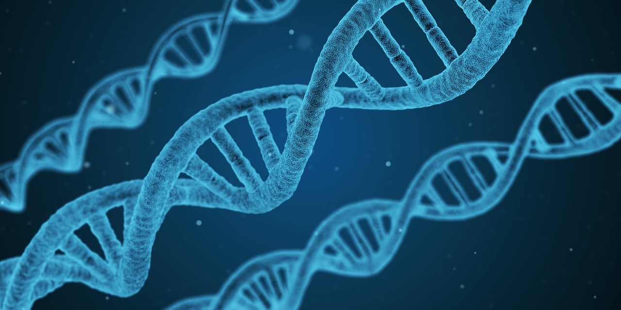 新澳门六开奖结果记录,高效生成解决方案，探险模式XB705.8207