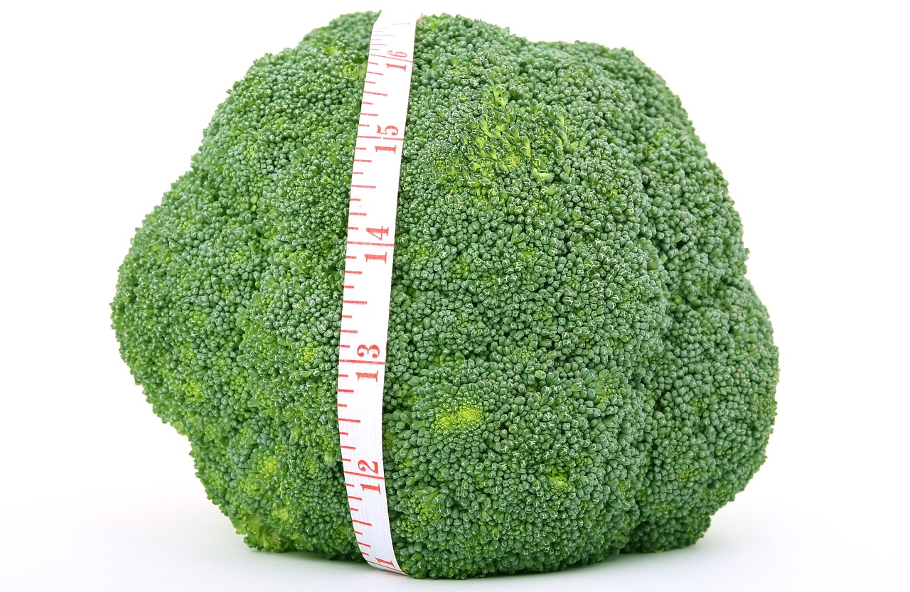 长寿关口最新动态，引领健康长寿新潮流