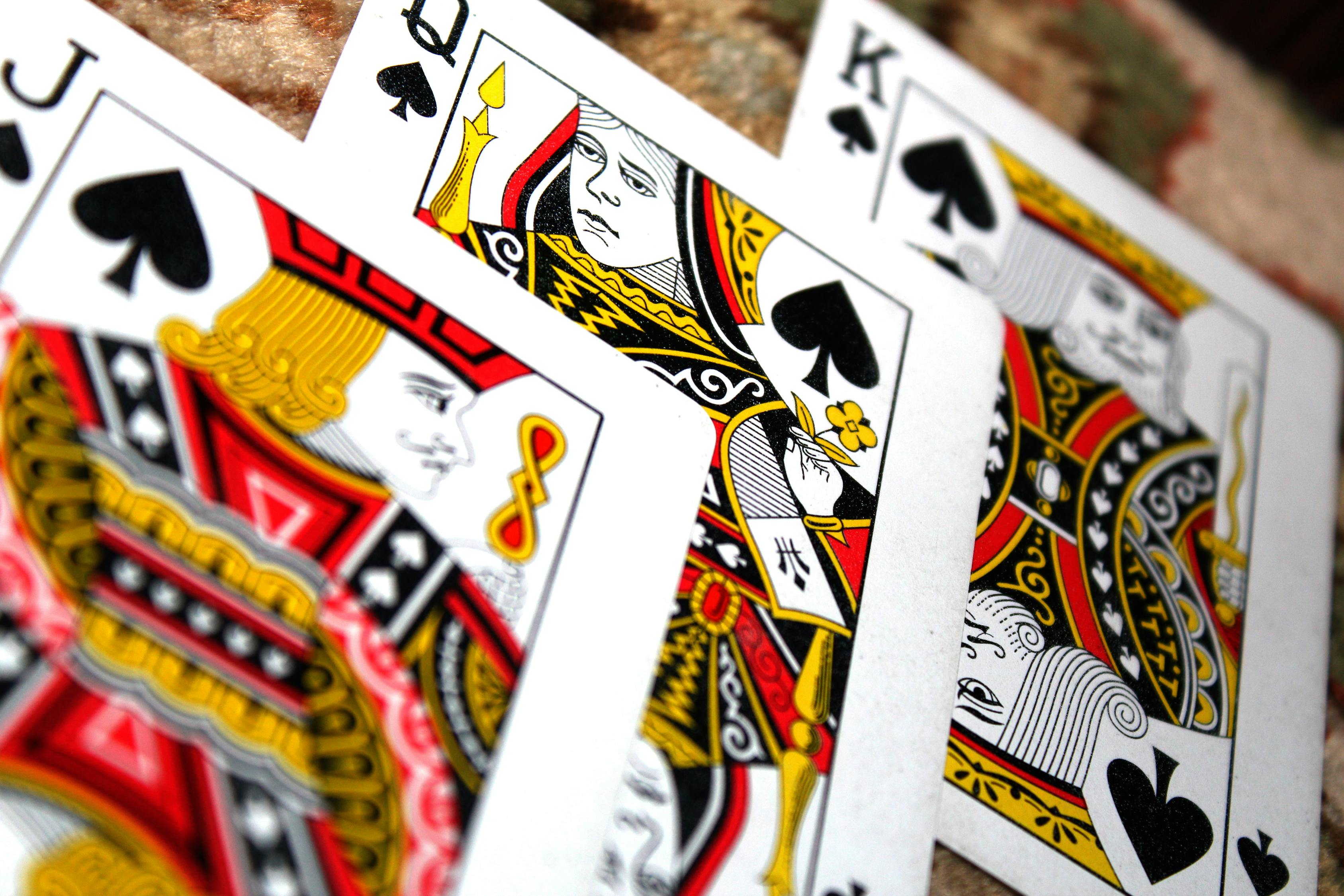 泰拉瑞亚最新版下载攻略与体验分享，游戏下载与体验详解