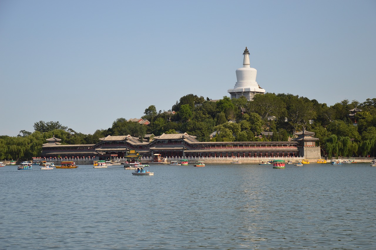 北京最新鸟类栖息地的探索与保护之旅