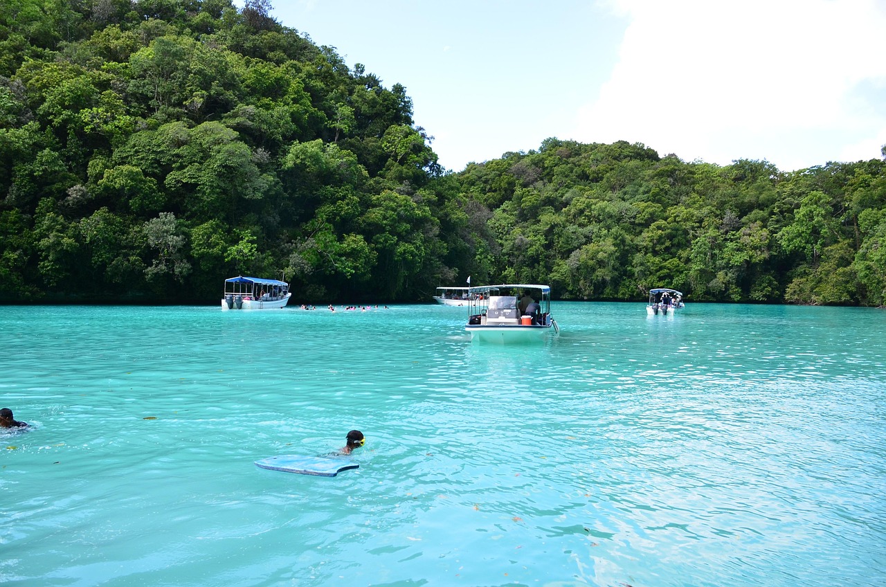 白沟旅行社一日游最新推荐，探索魅力之旅的绝佳选择
