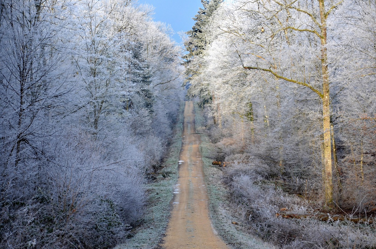 电视剧冰山上的来客，神秘世界的深度探索之旅