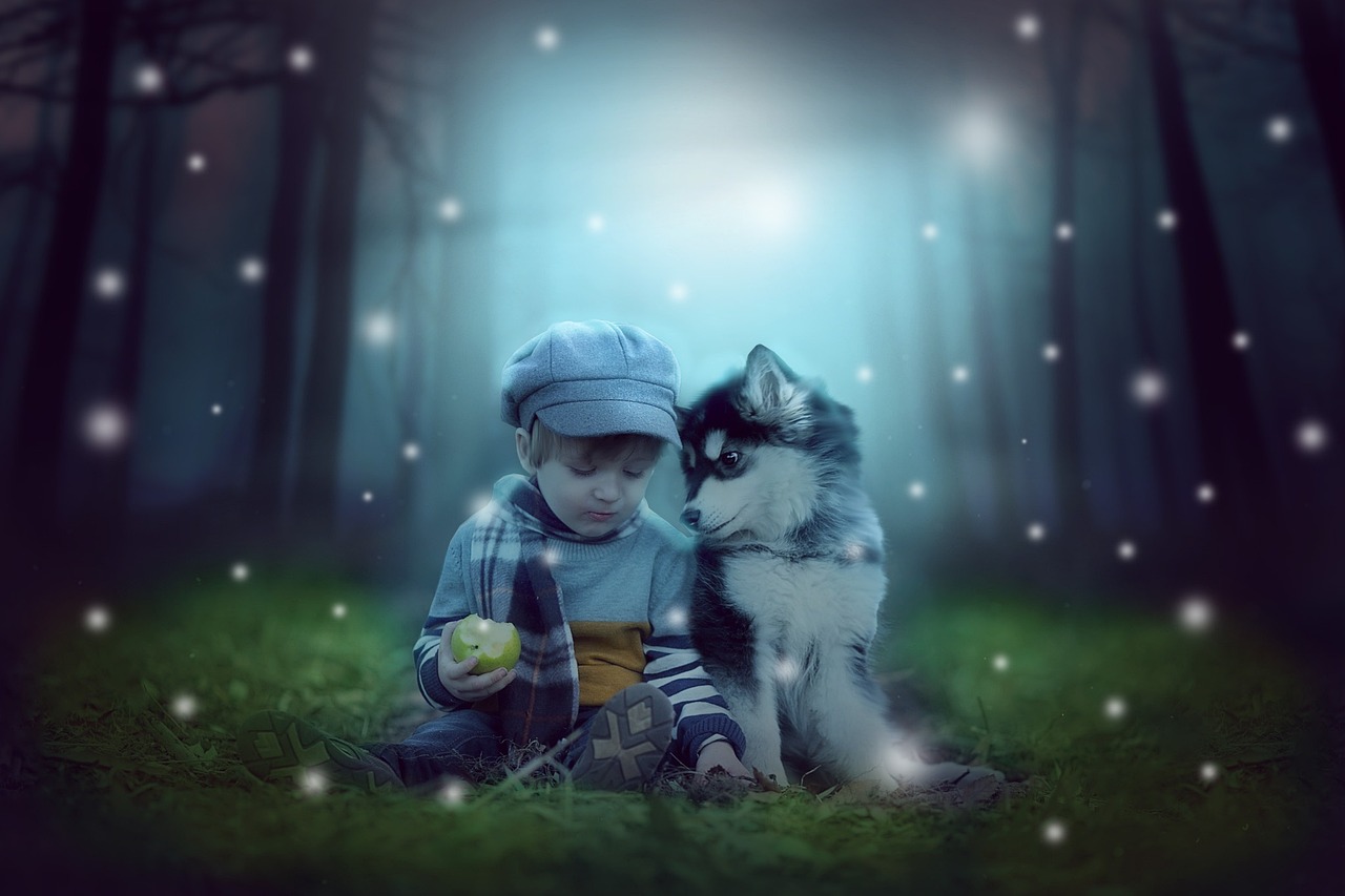 青春幻想交织的动漫少年头像风采