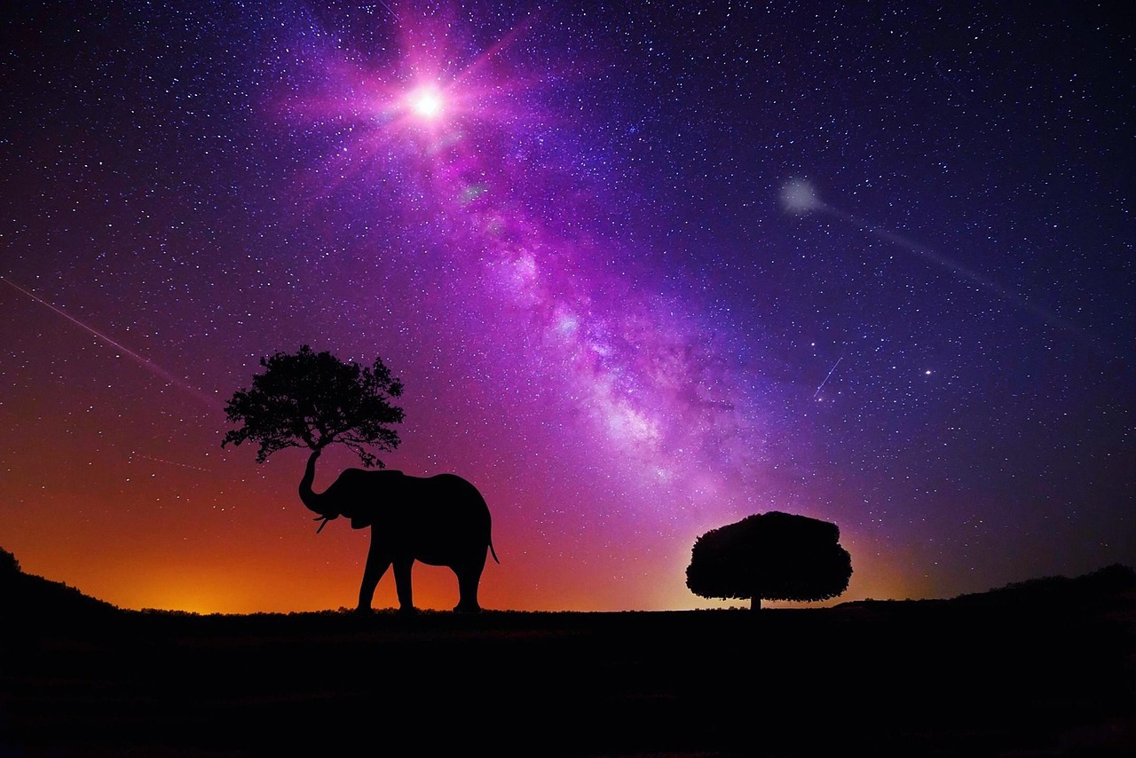 明星歌词，音乐与情感的独特桥梁