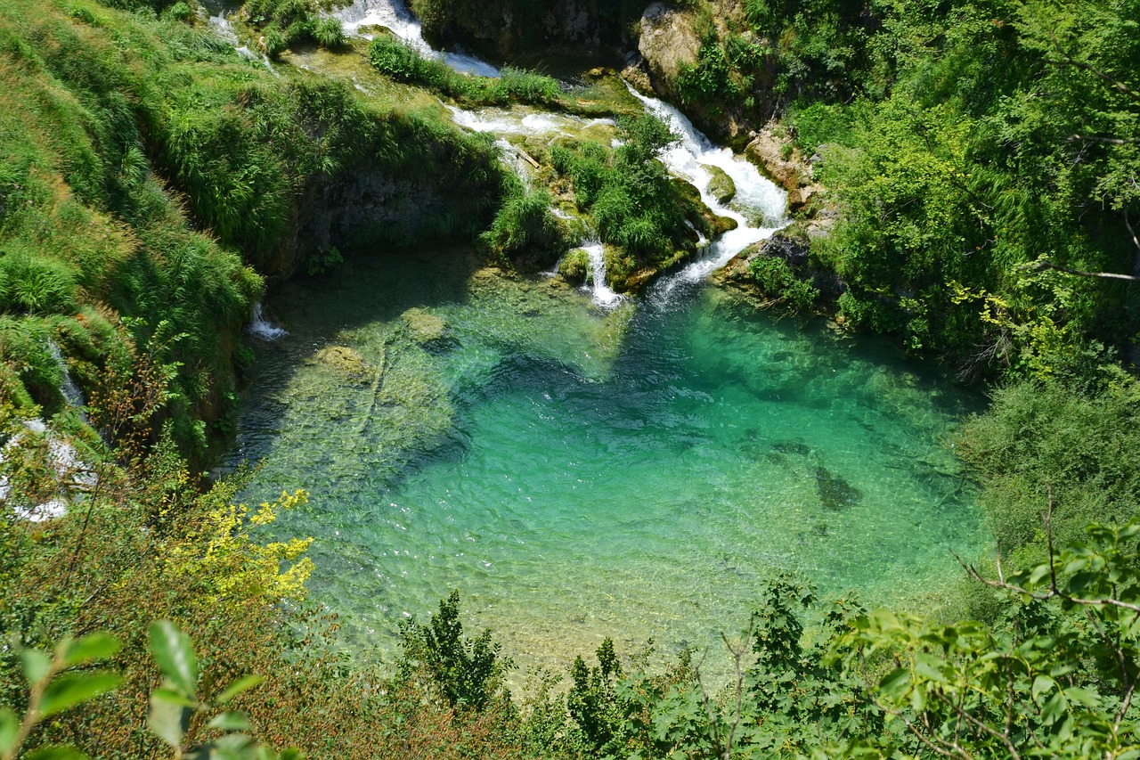 探寻长白山湖绿翡翠酒的价值之旅，珍稀佳酿的价格解析