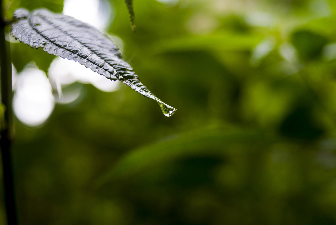 沃森生物最新动态全面解析