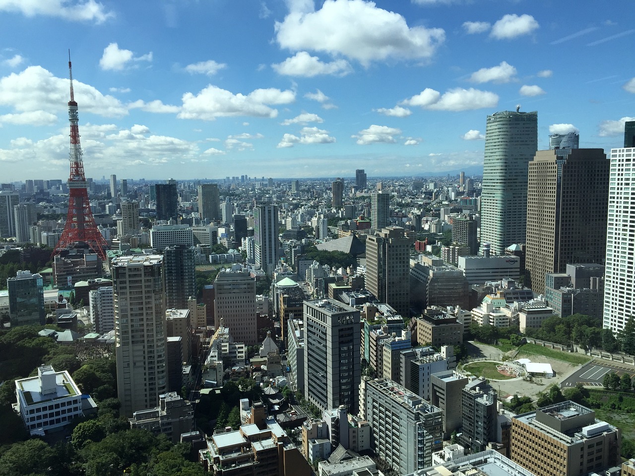 最新各国入境政策概览及更新动态