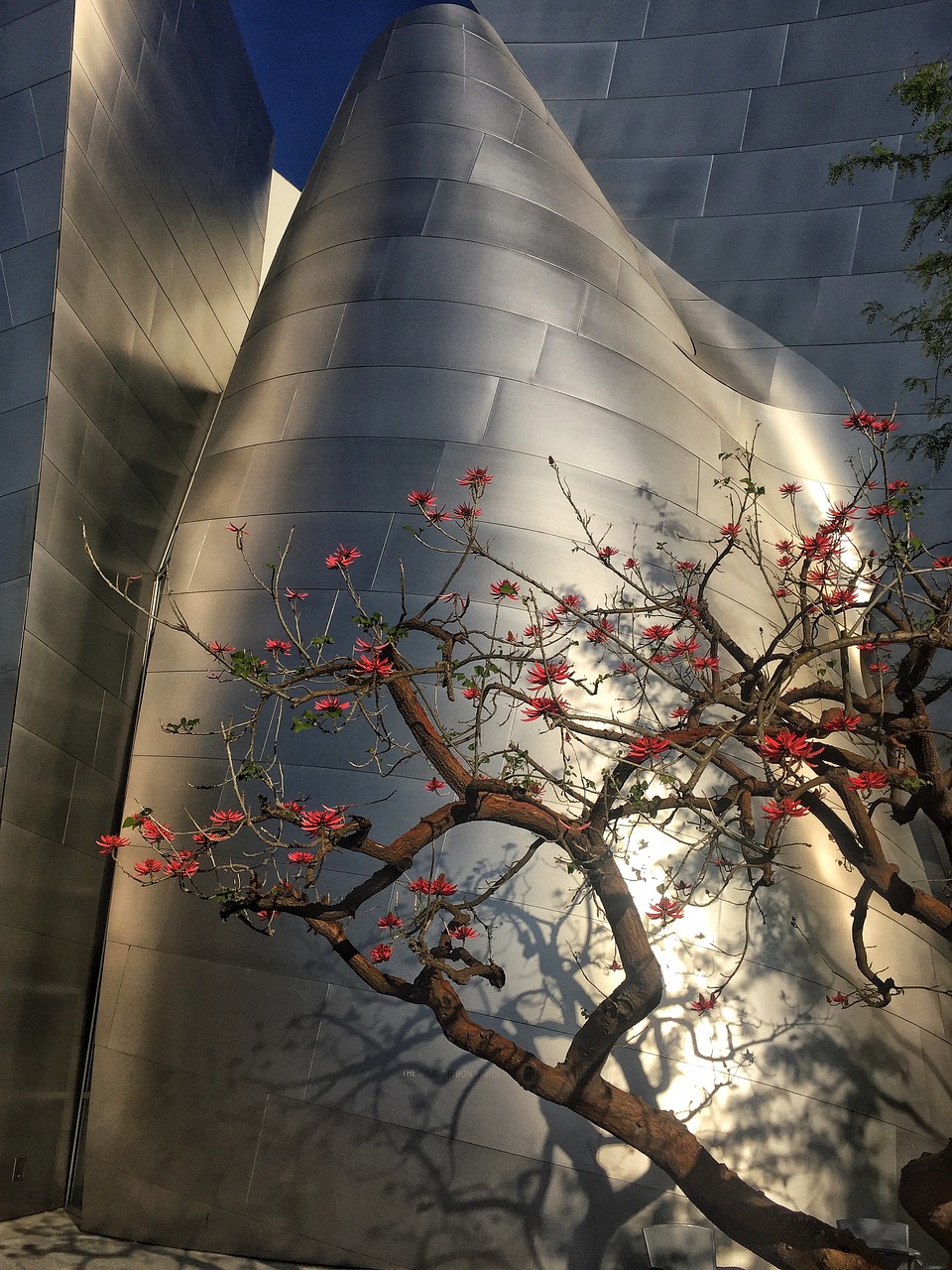 最新设区动态，城市发展的步伐、未来展望与前景揭秘