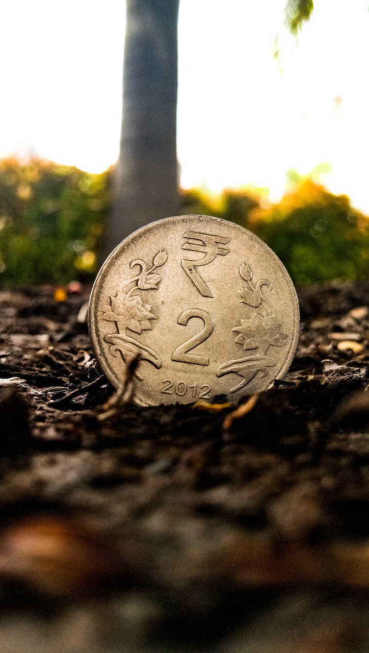 赛意信息股票最新动态，行业趋势与公司发展深度解析