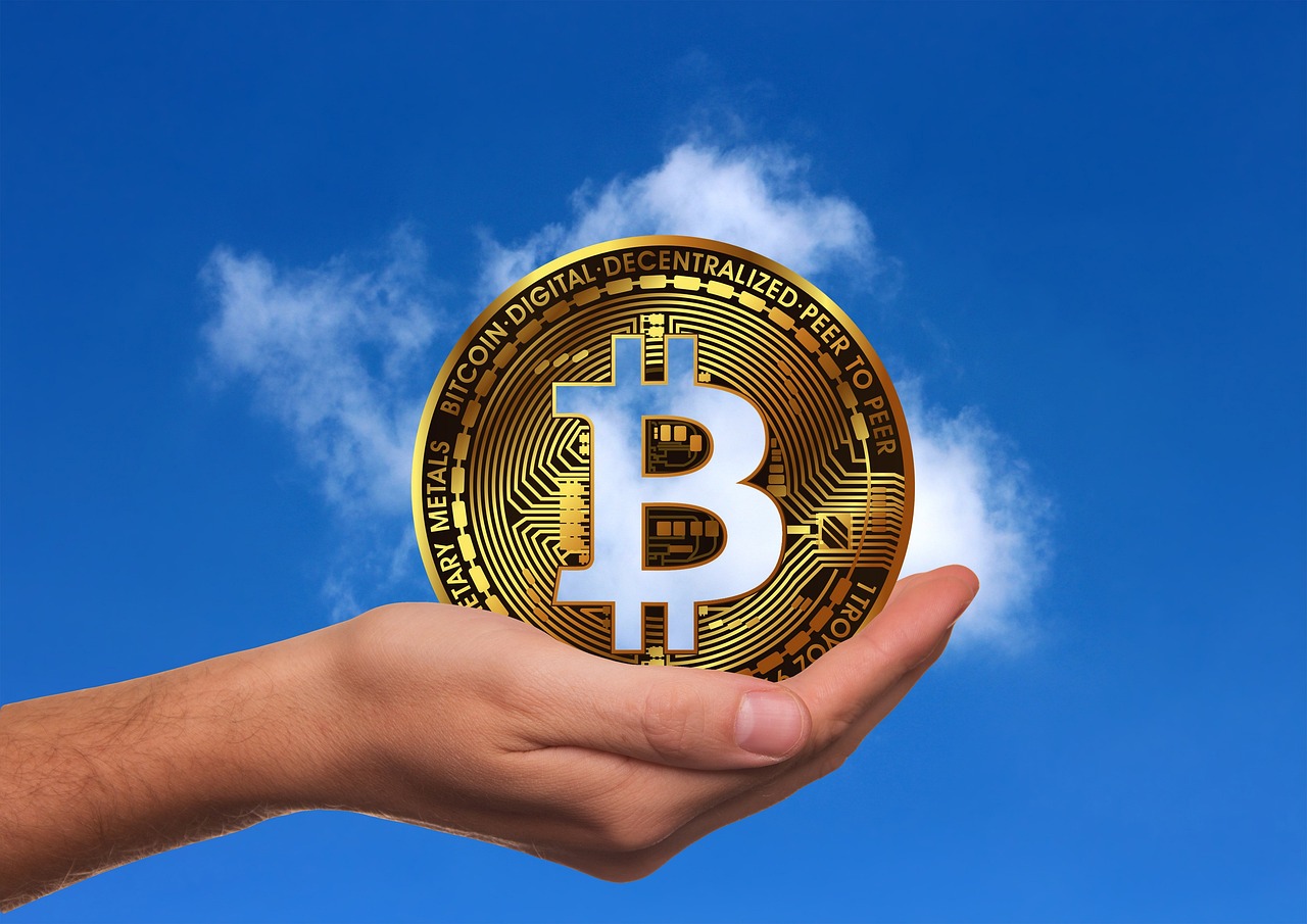 鹿肉价格行情深度解析与趋势分析