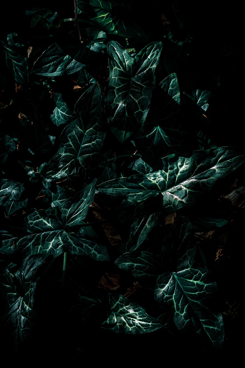 中央整治超限最新动态，构建安全有序的交通环境